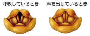 高い声を出す方法を声楽の頭声の出し方から解説。大切な3要素とは？